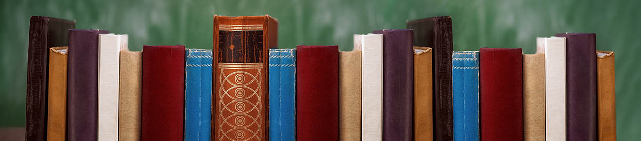 #nivo1 Surprise Scholé Academy